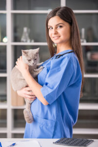 Técnico em Veterinária