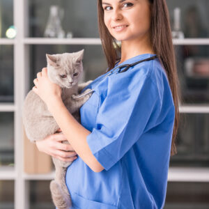 Técnico em Veterinária